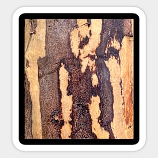 Wood Forest Nature Sticker